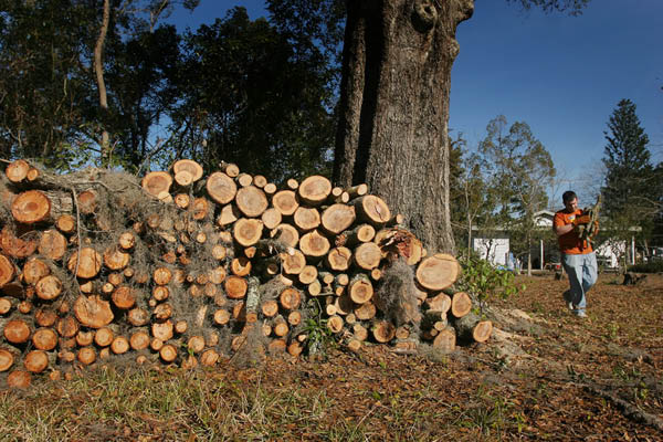 raw_020909_JamesCroftHouse2121